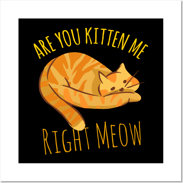 Are You Kitten Me Right Meow Wall Art by Sunil Belidon